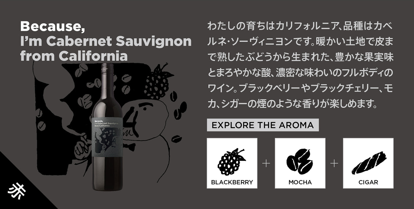 ビコーズワイン カベルネ・ソーヴィニヨン カリフォルニア / Because wine Cabernet sauvignon California