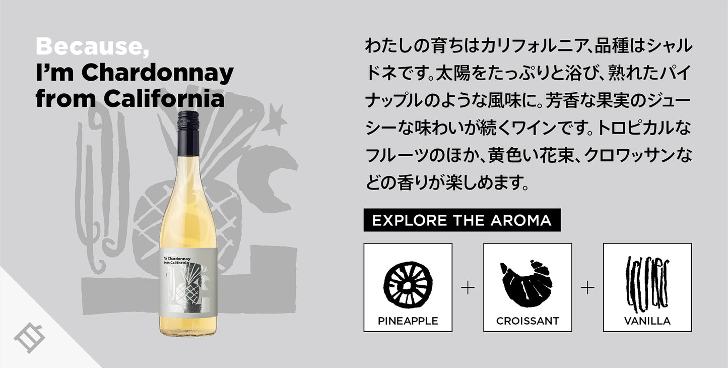 ビコーズワイン シャルドネ・カリフォルニア / Because wine Chardonnay California