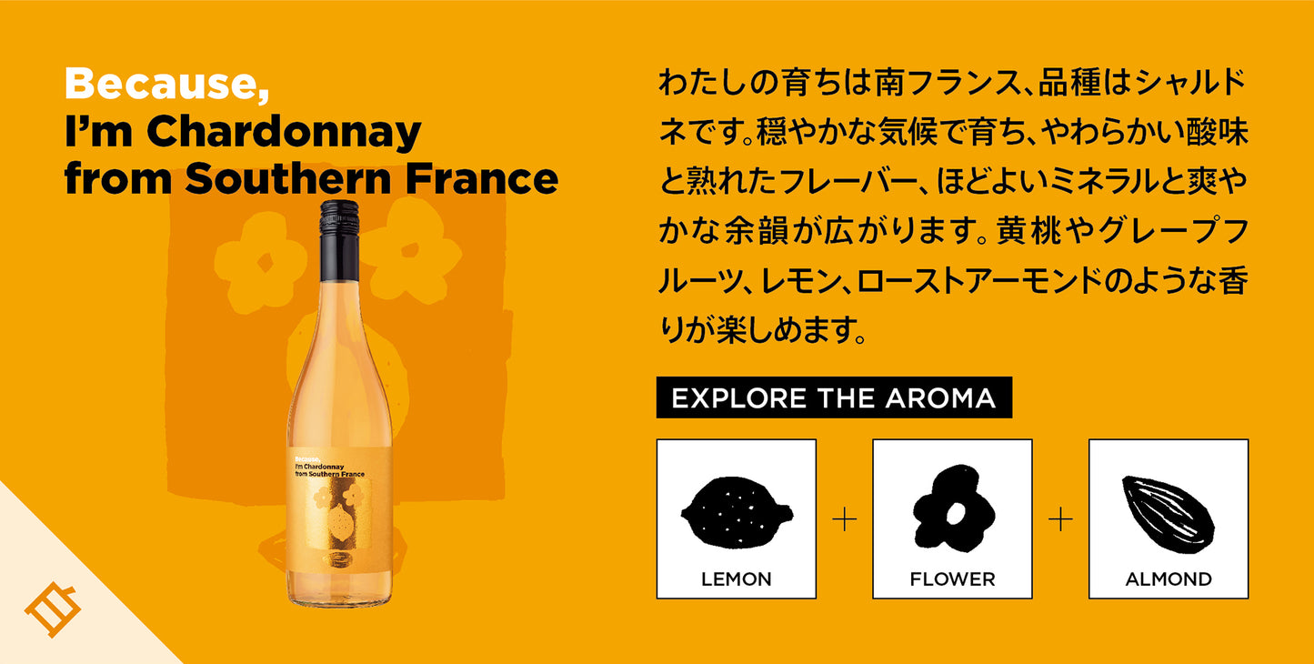 ビコーズワイン シャルドネ・南フランス / Because wine Chardonnay France