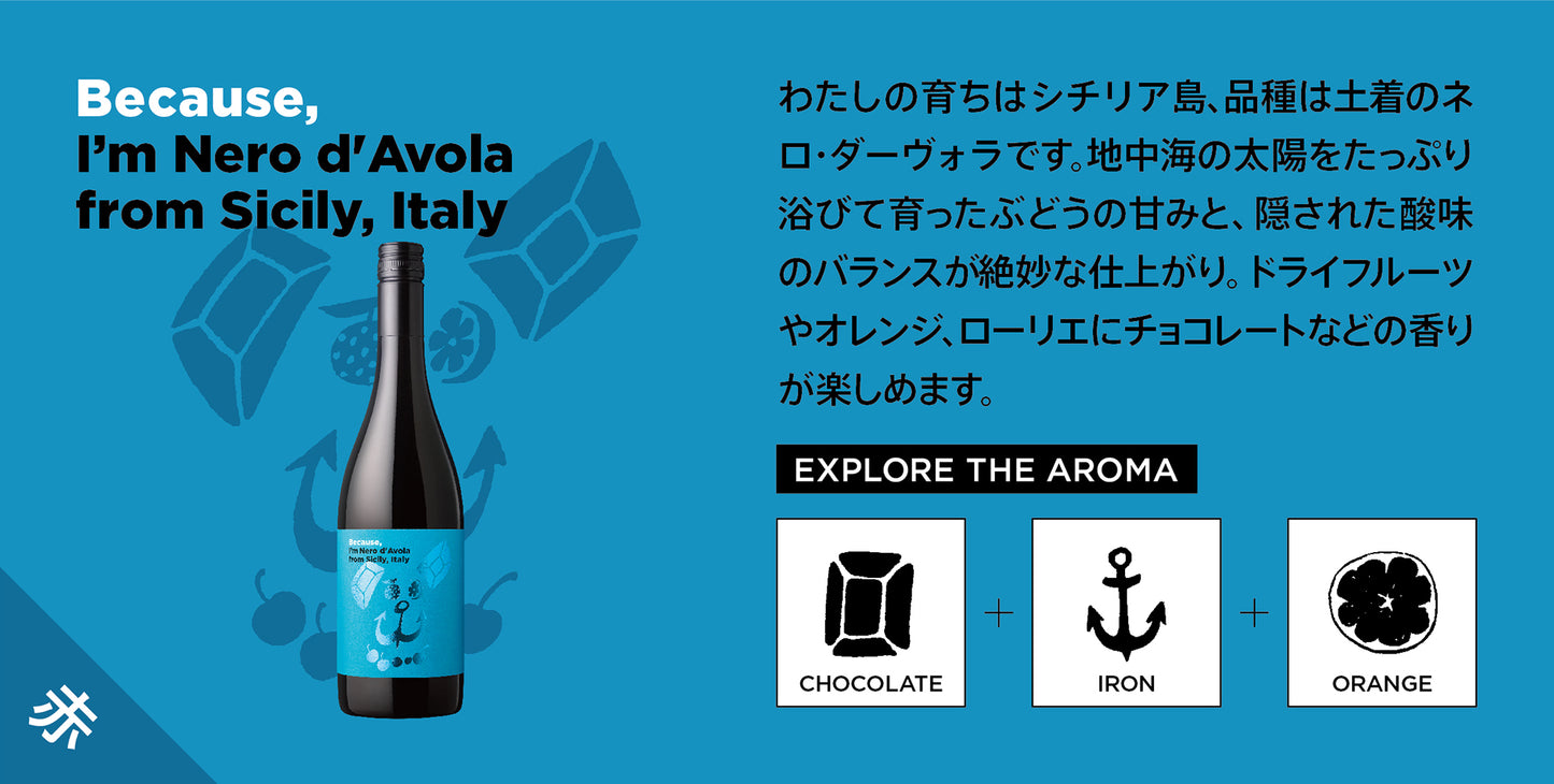 ビコーズワイン ネロ・ダーヴォラ / Because wine Nero d'Avola.