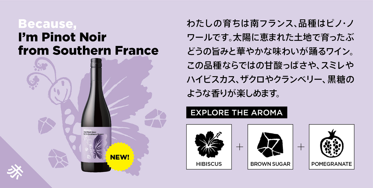 ビコーズワイン ピノ・ノワール 南フランス / Because wine Pinot noir