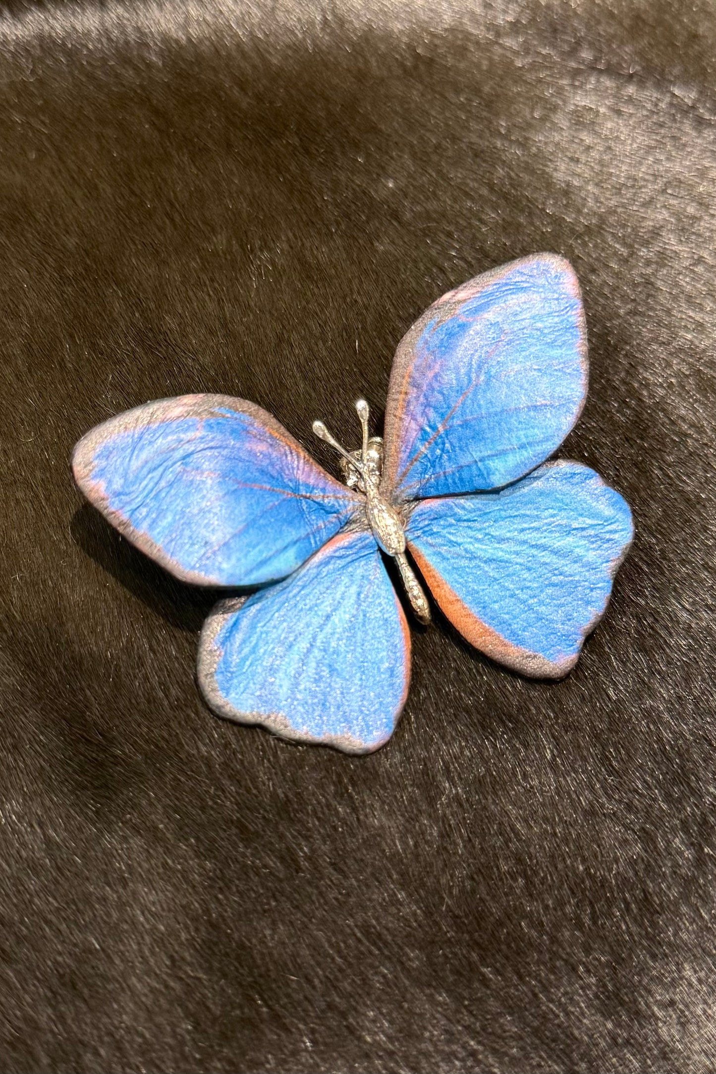 トルクアータ レザー モルフォ蝶ピアス(片耳ピアス)