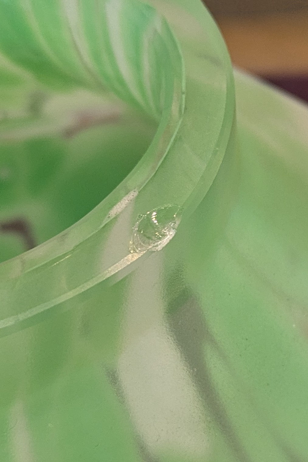 厚口の八角グラス