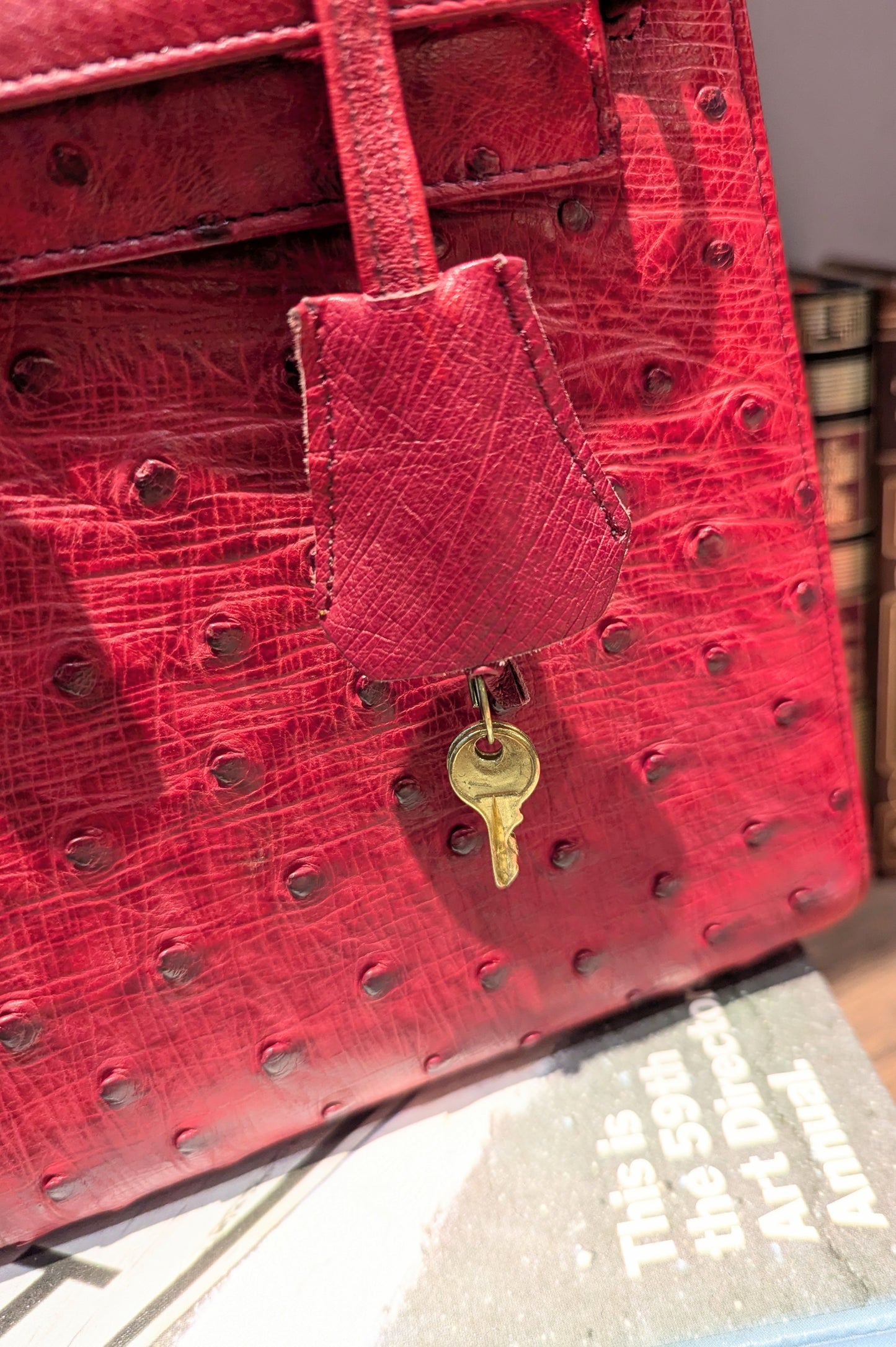 vintage オーストリッチBag レッド