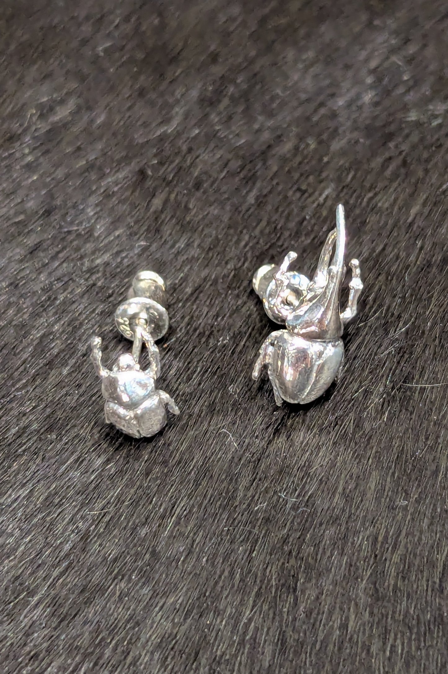 トルクアータ つがいピアス ヘラクレスオオカブト