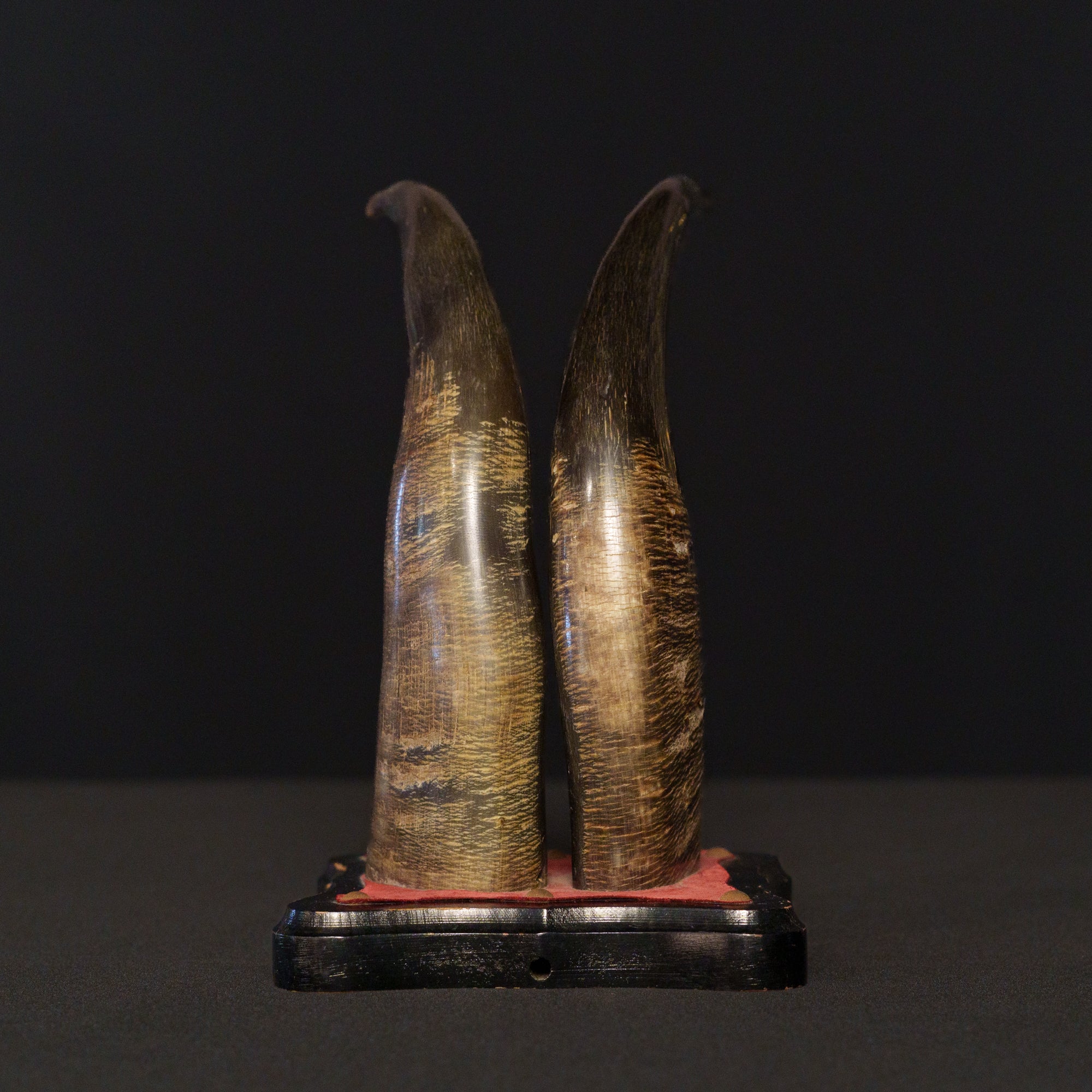 激レア　19世期フランスアンティーク　手彫牛角鳥のオブジェ 台座付水牛 角のオブジェ ｜1961 ヴェニスの商人 アンティークス
