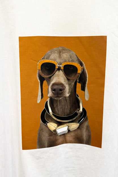 Mitica&co. italy ダンディーなワイマラナーTシャツ