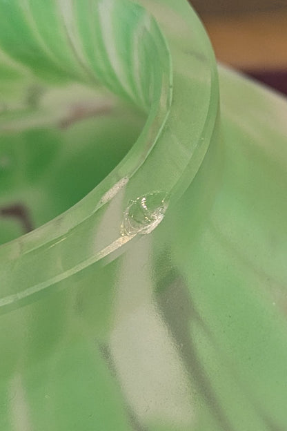 厚口の八角グラス
