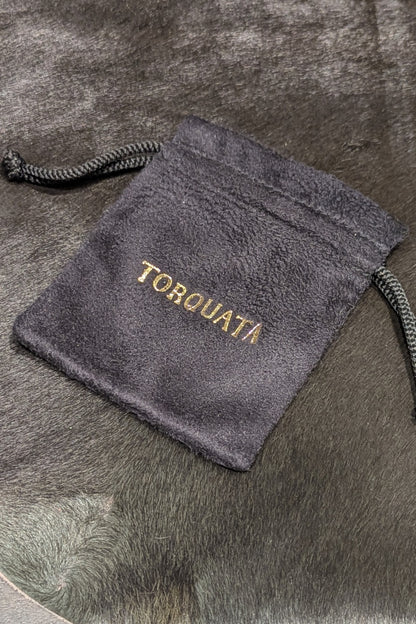 トルクアータ  つがいピアス ヘラクレスオオカブト