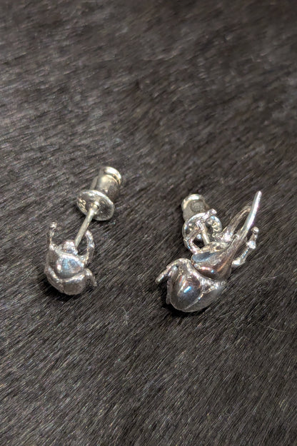 トルクアータ  つがいピアス ヘラクレスオオカブト