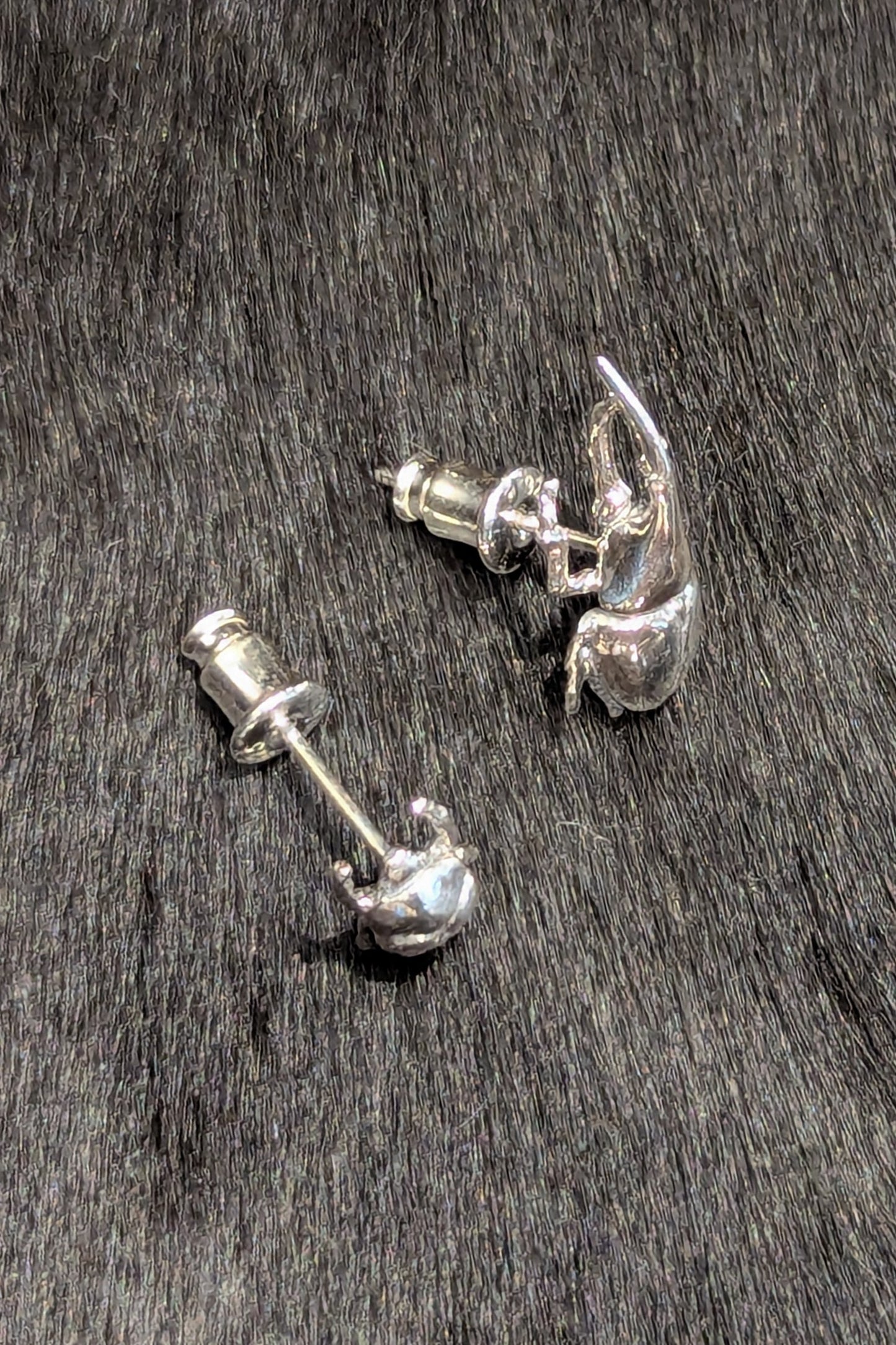 トルクアータ  つがいピアス ヘラクレスオオカブト