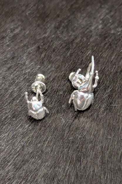 トルクアータ  つがいピアス ヘラクレスオオカブト