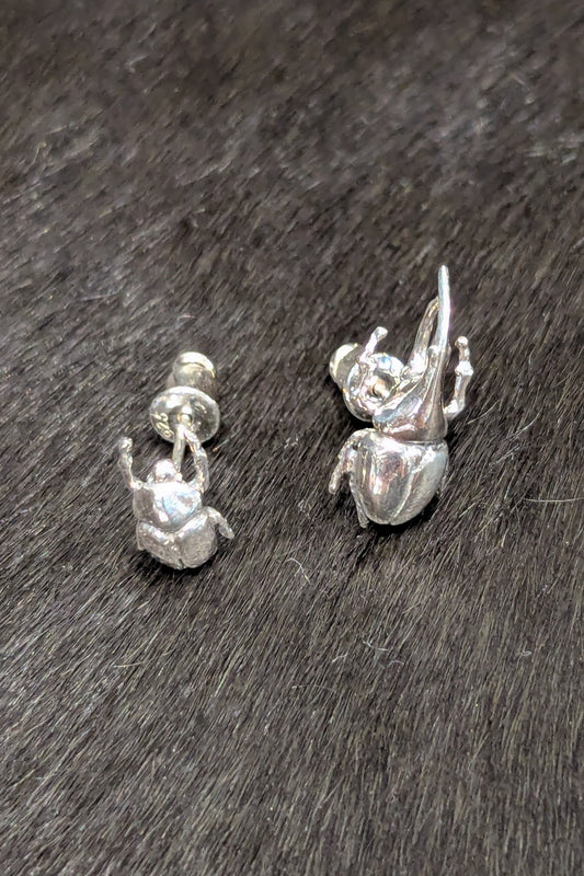 トルクアータ  つがいピアス ヘラクレスオオカブト