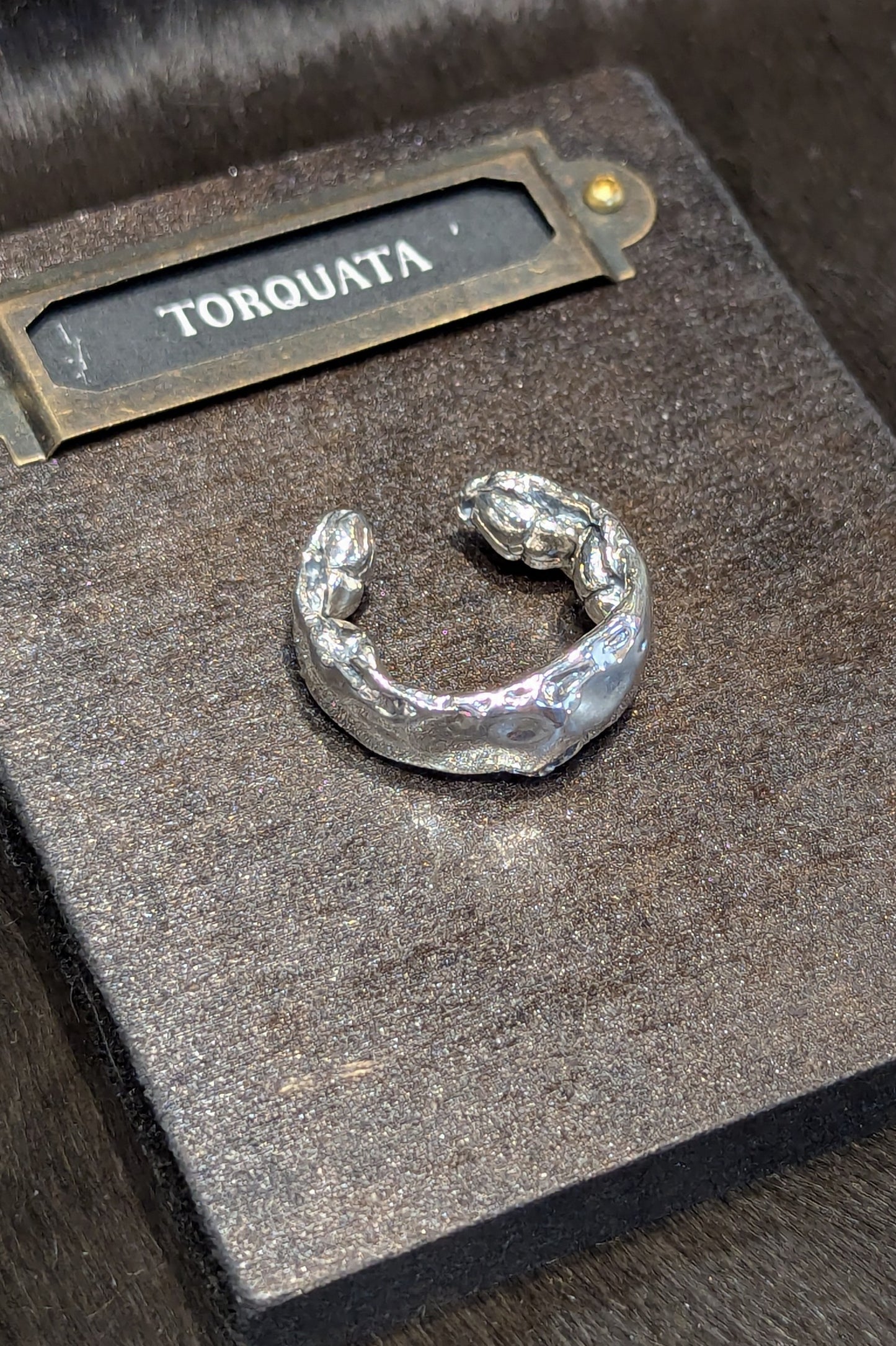 トルクアータ  ハナムグリ裏虫リング