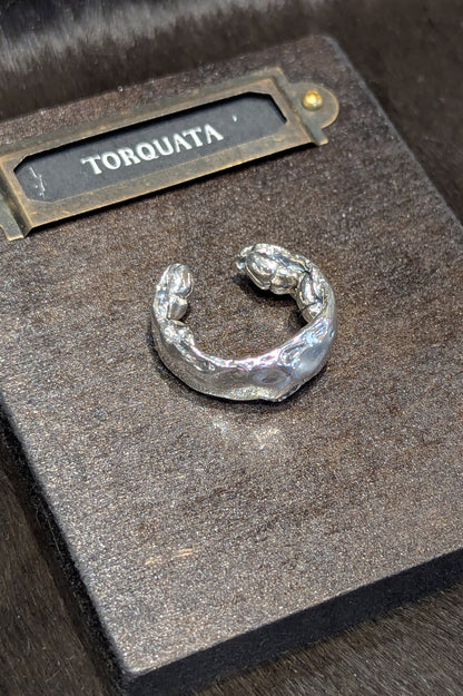 トルクアータ  ハナムグリ裏虫リング
