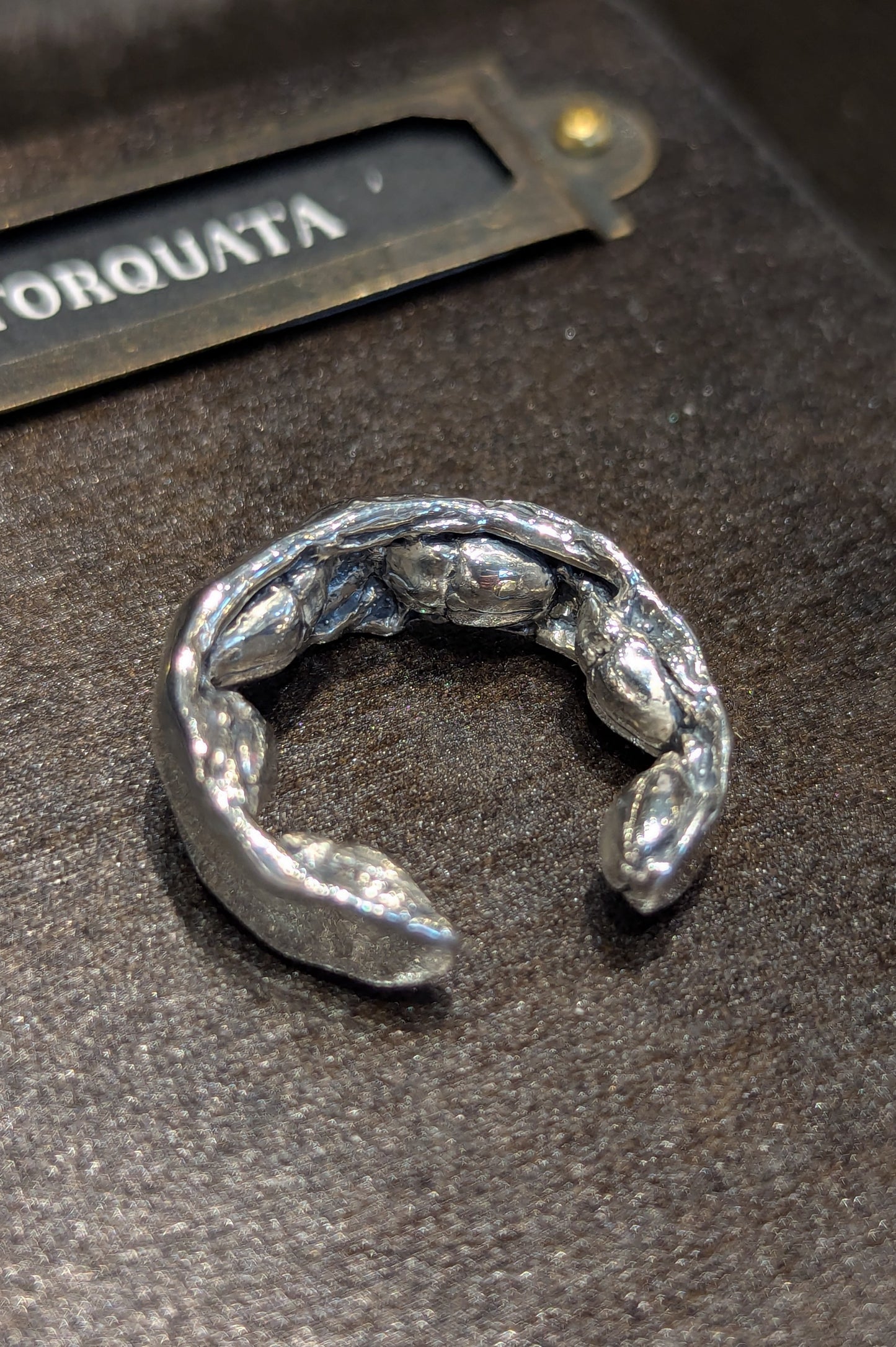 トルクアータ  ハナムグリ裏虫リング