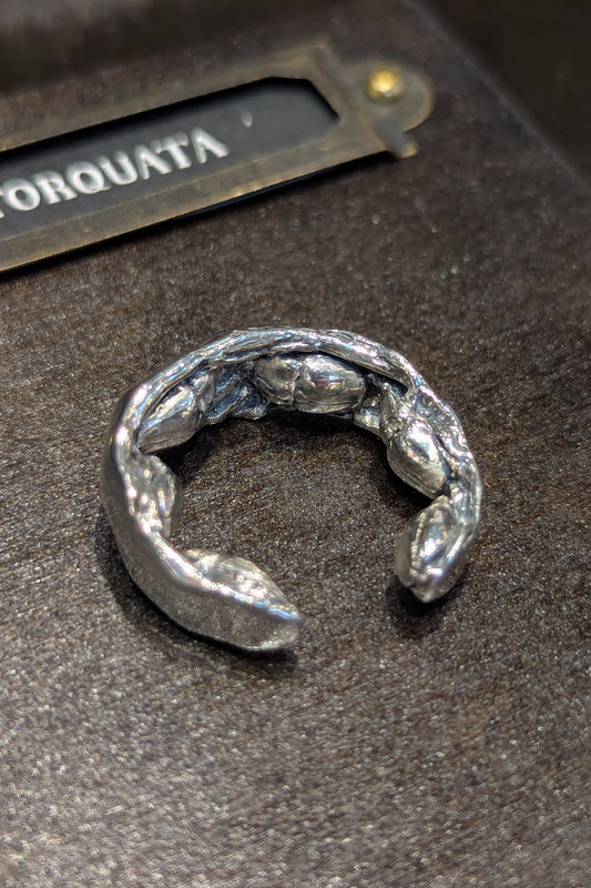 トルクアータ  ハナムグリ裏虫リング
