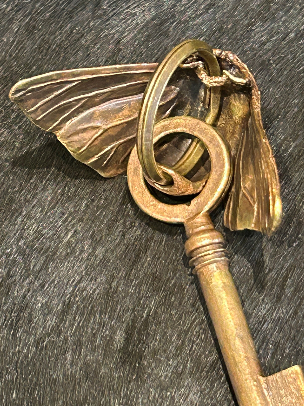 TORQUATA トルクアータ ❀ アゲハ蝶 鍵 真鍮キーリング