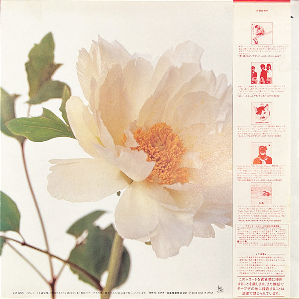 サザン オールスターズ 綺麗