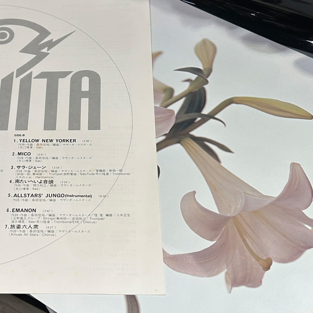 サザン オールスターズ 綺麗